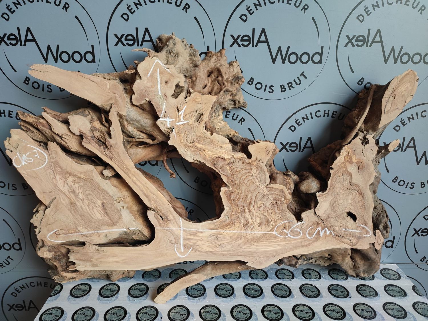 Racine d’olivier naturelle pour projets en résine et décoration artisanale Magasin bois et résine époxy Toulouse AlexWood