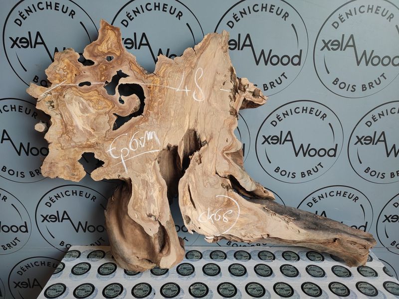 ​Racine d’olivier pour bricolage, design et résine époxy