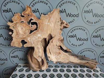 Racine d’olivier pour bricolage, design et résine époxy Racine d’olivier pour bricolage, design et résine époxy