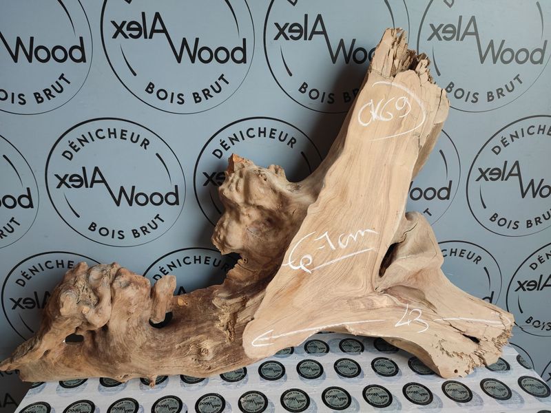 Bois d’olivier prêt pour créations en époxy et objets design