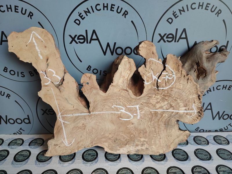 Rondelle d’olivier pour projets DIY, déco et résine époxy