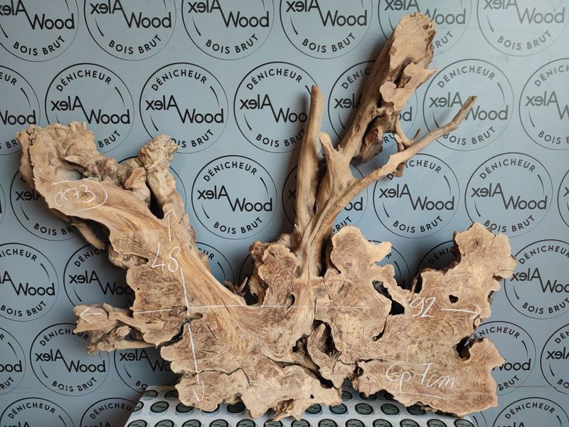 ​Racine d’olivier pour bricolage, design et résine époxy