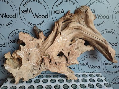 Racine bois d’olivier pour créations déco et résine époxy Racine bois d’olivier pour créations déco et résine époxy