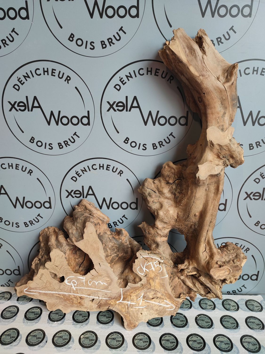 Rondelle d’olivier prête à travailler pour résine et décoration Rondelle d’olivier prête à travailler pour résine et décoration