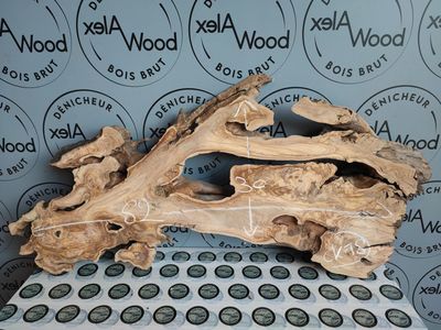 Racine d’olivier pour plateau décoratif et art mural Racine d’olivier pour plateau décoratif et art mural