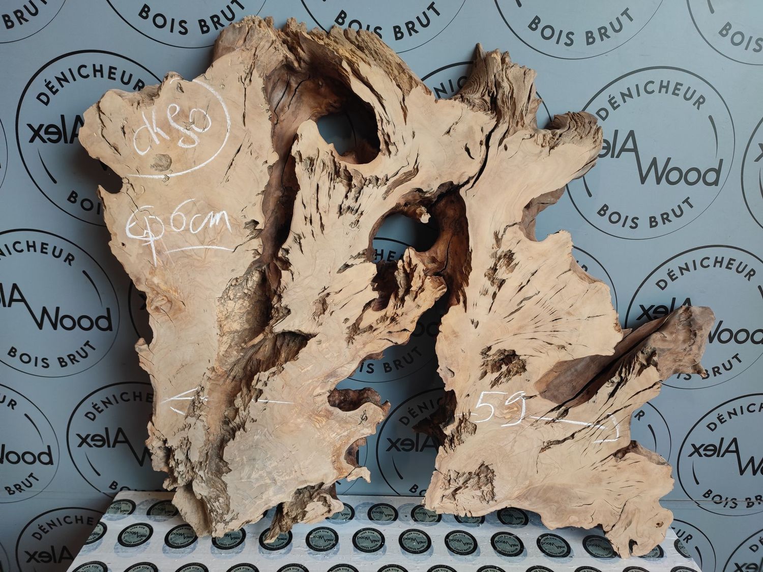 Rondelle d’olivier pour créations lumineuses et incrustations Rondelle d’olivier pour créations lumineuses et incrustations