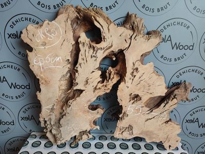 Rondelle d’olivier pour créations lumineuses et incrustations Rondelle d’olivier pour créations lumineuses et incrustations