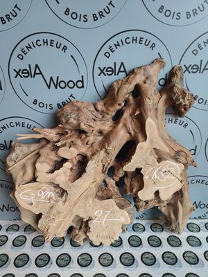 Racine d’olivier pour déco intérieure Racine d’olivier pour déco intérieure