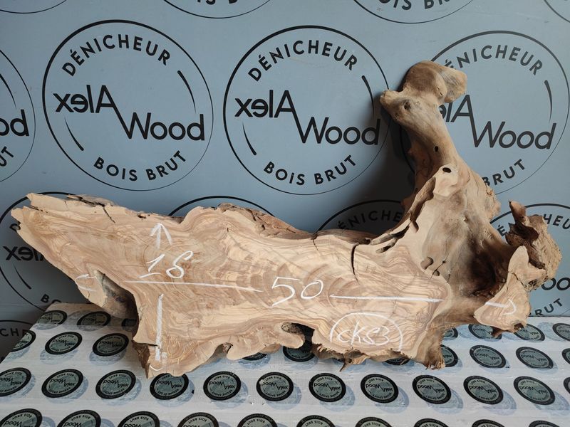 ​Rondelle d’olivier pour création murale et tablettes décoratives