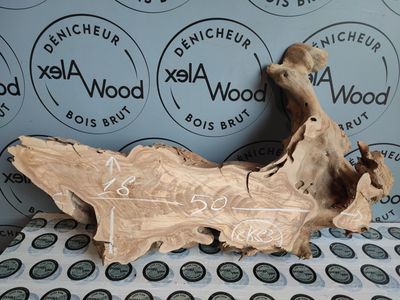 Rondelle d’olivier pour création murale et tablettes décoratives Rondelle d’olivier pour création murale et tablettes décoratives