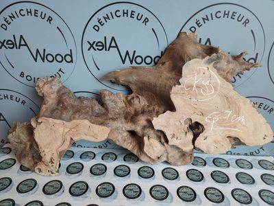 Rondelle d’olivier pour lampes design et pièces lumineuses Rondelle d’olivier pour lampes design et pièces lumineuses