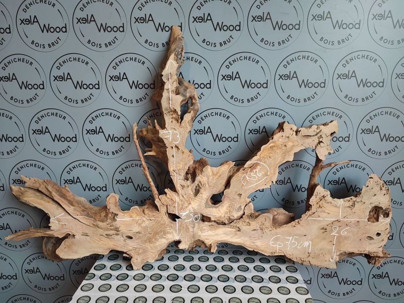 Racine bois d'olivier décoration intérieure AlexWood Toulouse