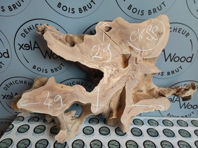 Rondelle d’olivier pour créations mixtes bois & résine Rondelle d’olivier pour créations mixtes bois & résine