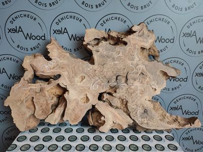 Rondelle d’olivier expressive pour art et petit mobilier Rondelle d’olivier expressive pour art et petit mobilier