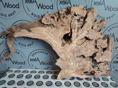 Racine d’olivier pour pièces artistiques et œuvres murales Racine d’olivier pour pièces artistiques et œuvres murales