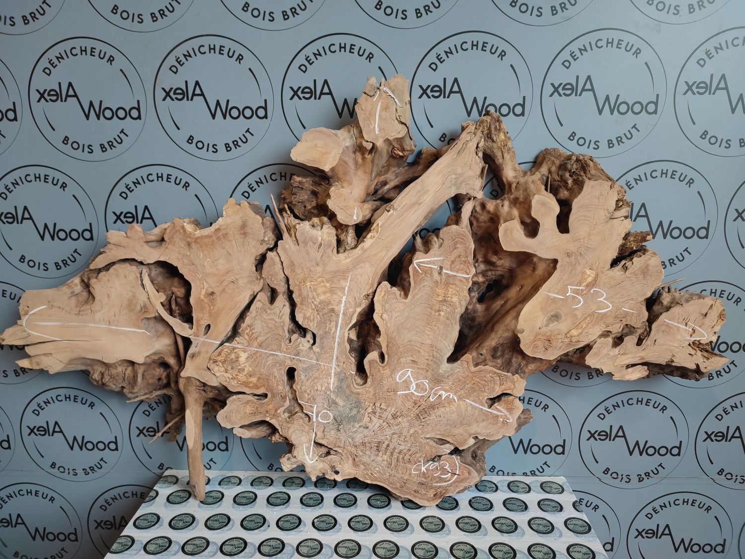 Rondelle d’olivier pour petits meubles et supports design Rondelle d’olivier pour petits meubles et supports design