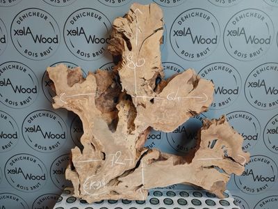 ​Rondelle d’olivier pour créations haut de gamme et époxy