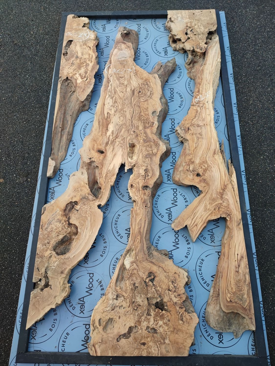 ​Lot de 3 plateaux d’olivier pour table canyon sur mesure