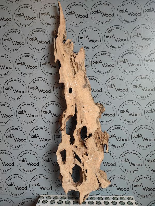 ​Plateau d’olivier naturel pour mobilier artisanal