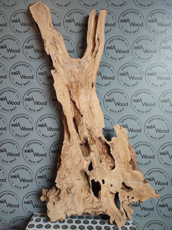 ​Plateau d’olivier naturel pour table rivière