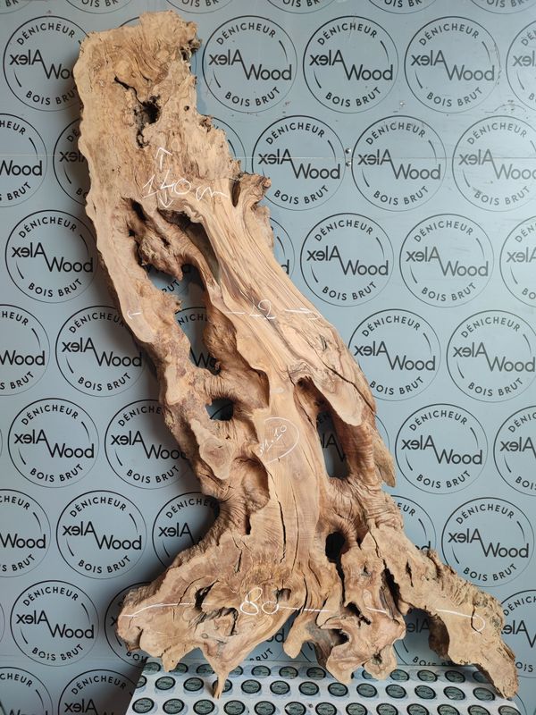 ​Plateau en bois d’olivier pour projets bois & résine