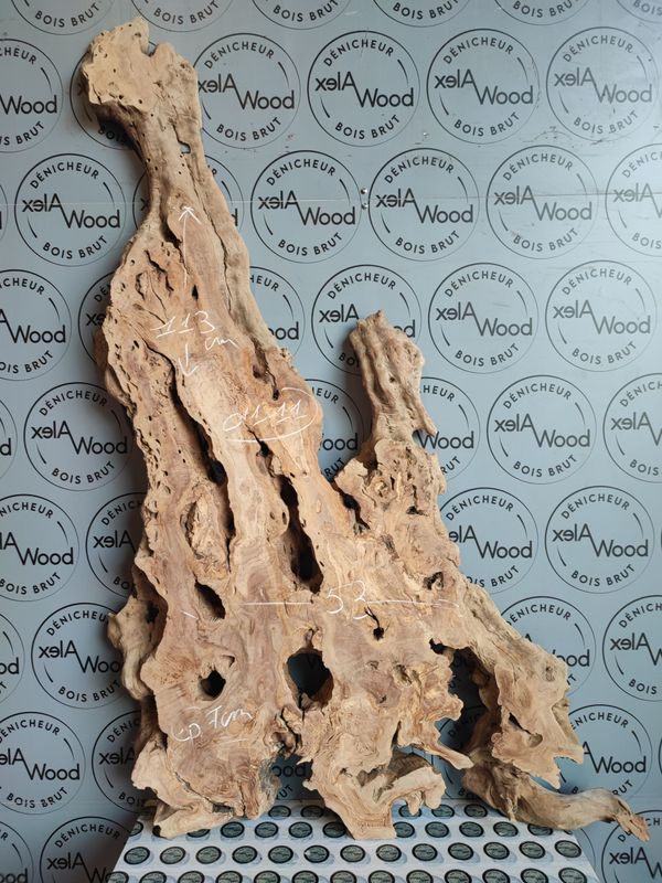 ​Plateau d’olivier massif à bords naturels