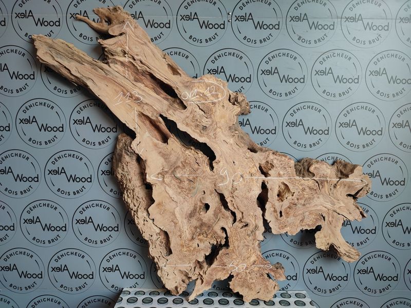 ​Plateau en bois d’olivier pour création contemporaine