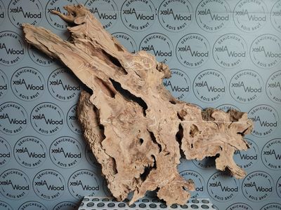 ​Plateau en bois d’olivier pour création contemporaine