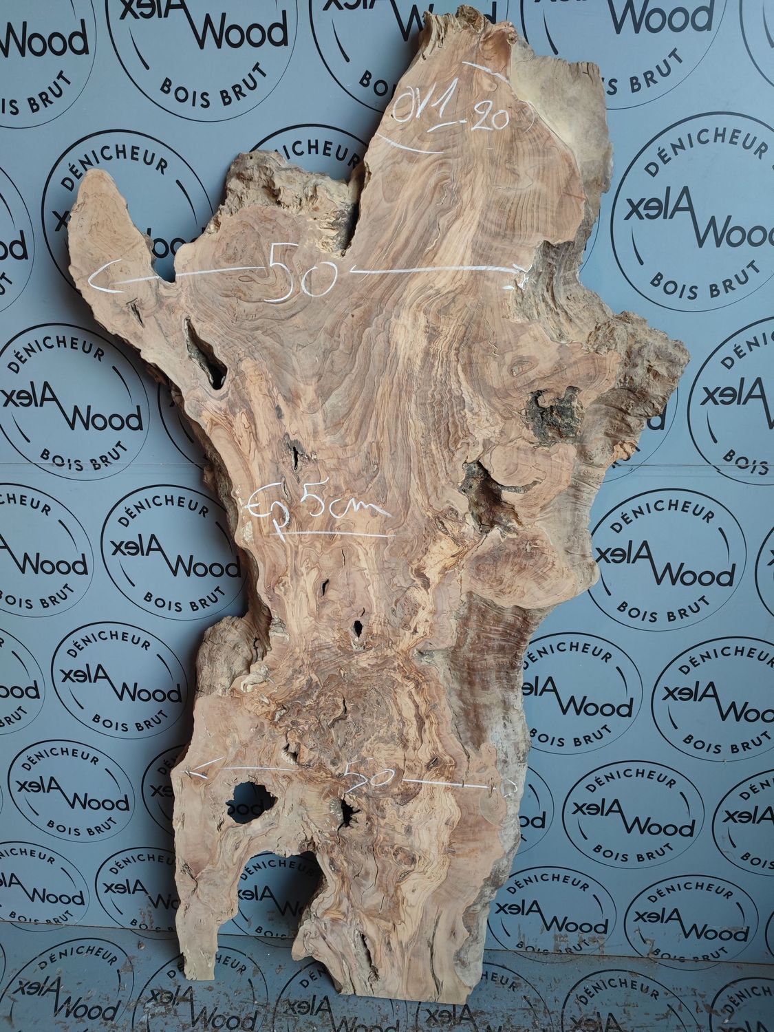 ​Plateau d’olivier massif pour projets mobilier design