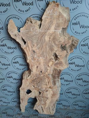 ​Plateau d’olivier massif pour projets mobilier design