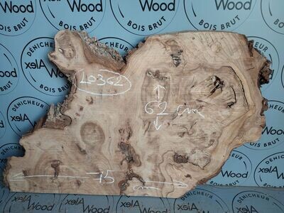 Plateau loupe d'orme formes originales - LO362 Plateau loupe d'orme formes originales - LO362