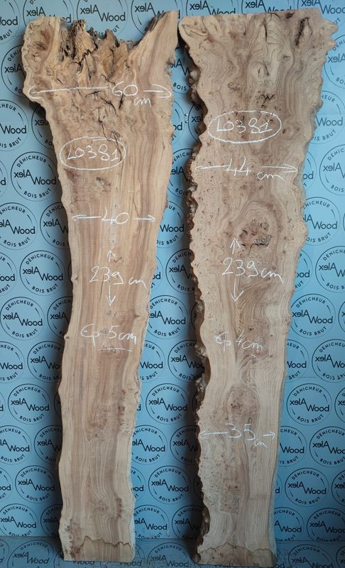 Lot de 2 superbes plateaux de loupe d'orme idéal table résine époxy - LO381