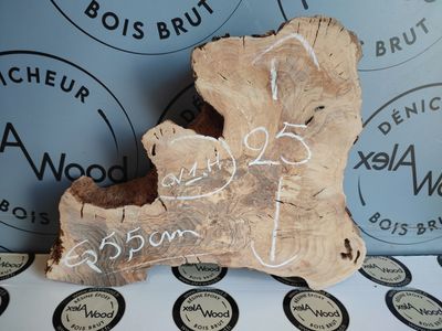 Bois d'olivier live edge - OV1.H