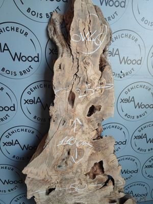 Plateau bois d’olivier brut 110 cm – idéal table basse ou résine époxy