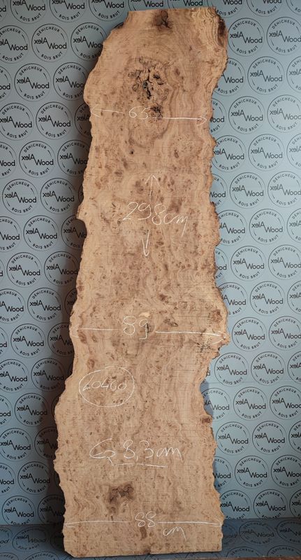 Plateau de bois loupe d'orme brut - LO460 Plateau bois brut loupe d'orme