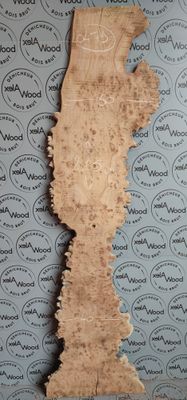 Plateau bois brut loupe d'orme - LO479 Plateau bois brut loupe d'orme - LO479