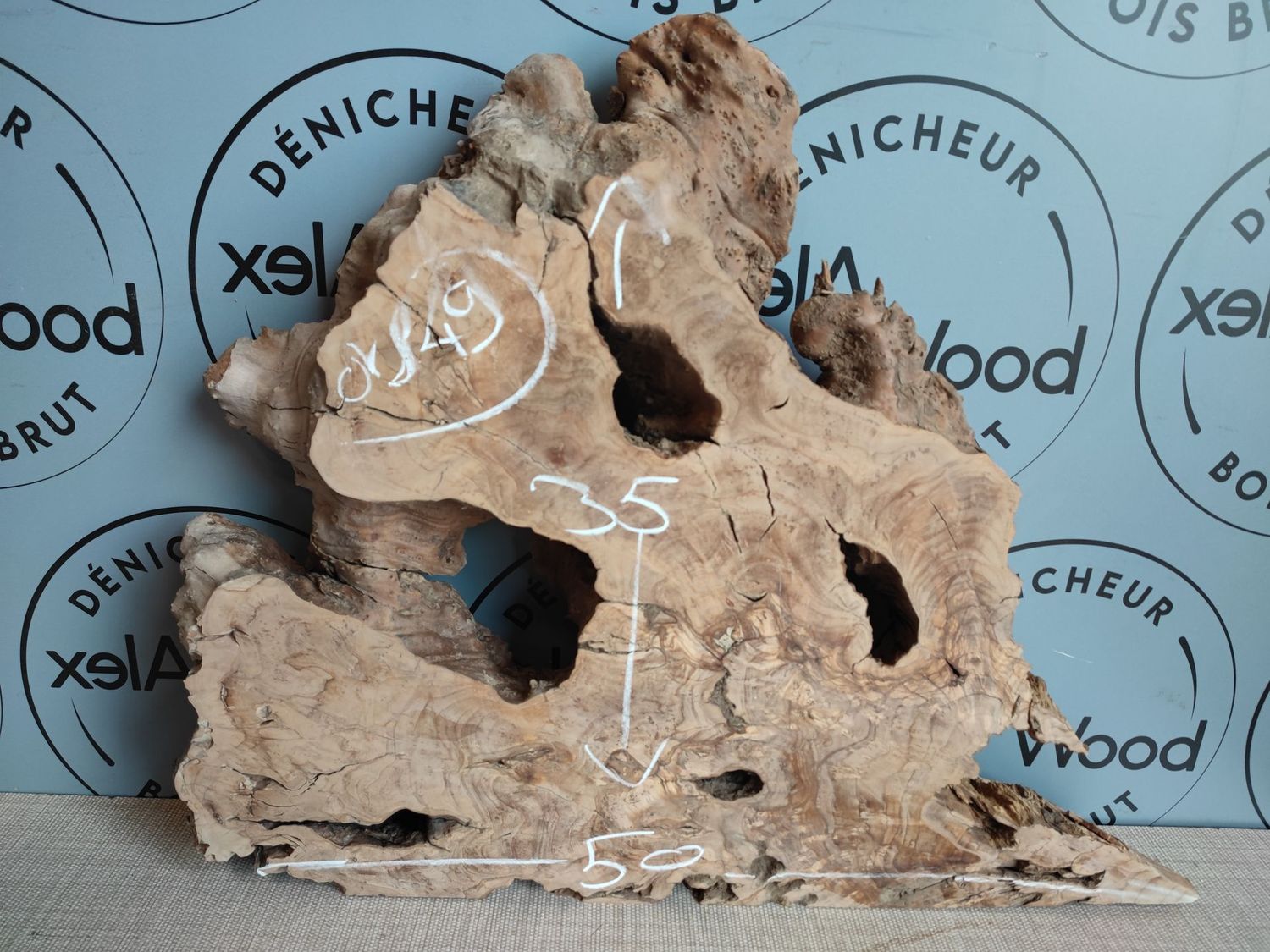 Bloc racine d'olivier - OV849