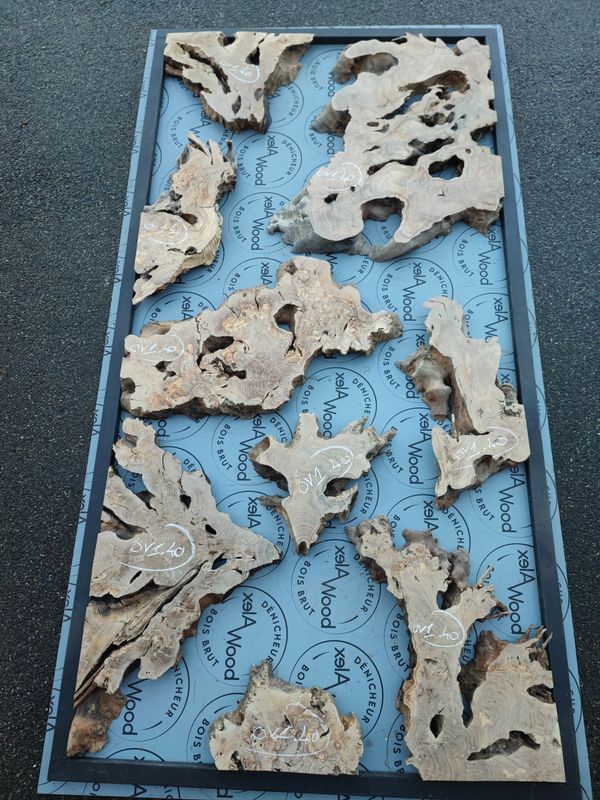 RACINE BOIS D'OLIVIER POUR MOBILIER RESINE EPOXY PARIS FRANCE ALEXWOOD