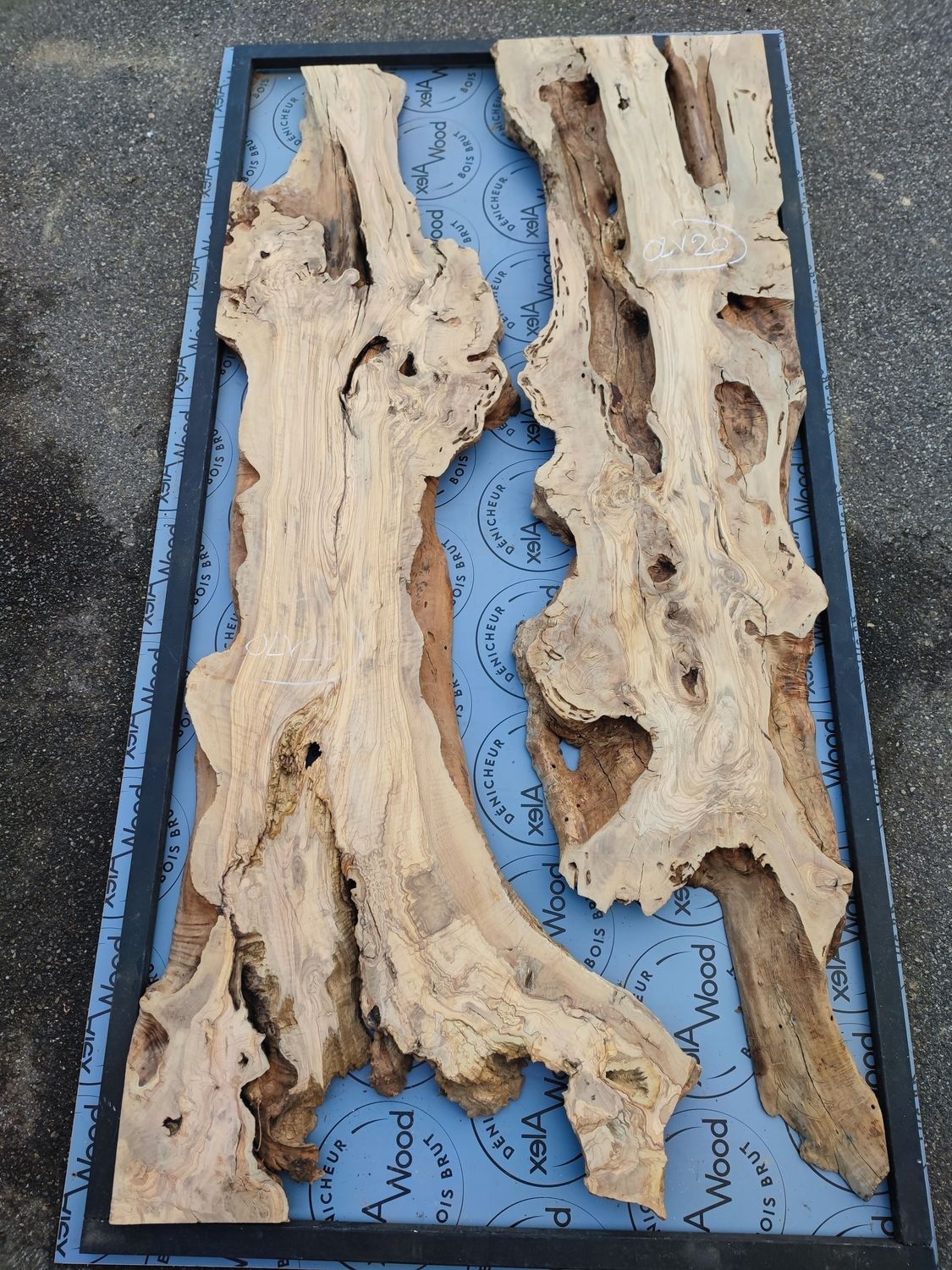 Pièces allongées de bois d’olivier disposées pour un projet de table rivière avec résine époxy RCAST.