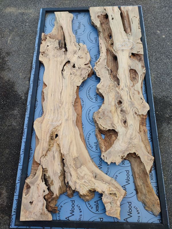 Pièces allongées de bois d’olivier disposées pour un projet de table rivière avec résine époxy RCAST.