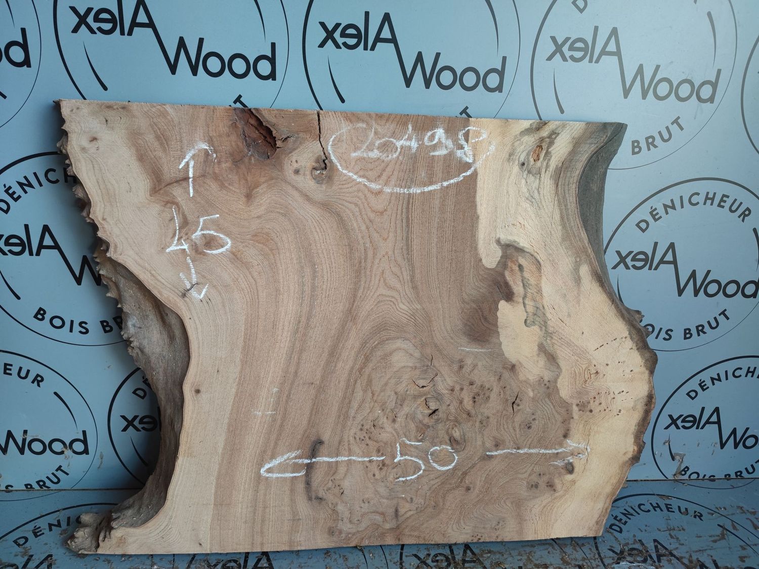 Plateau en bois d’orme brut 45 × 50 cm – planche naturelle pour projet bois ou résine époxy