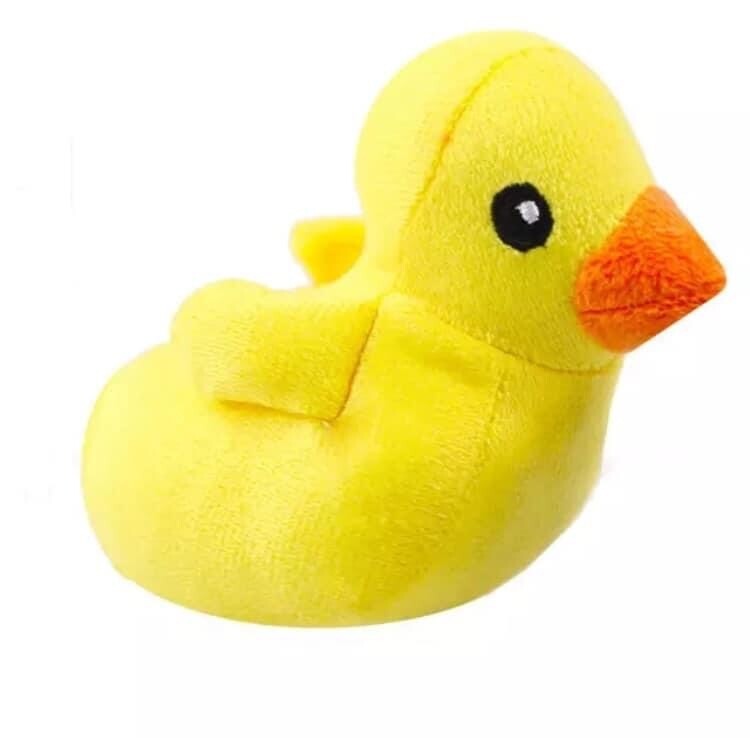 Duck Pet Squeaky Toy