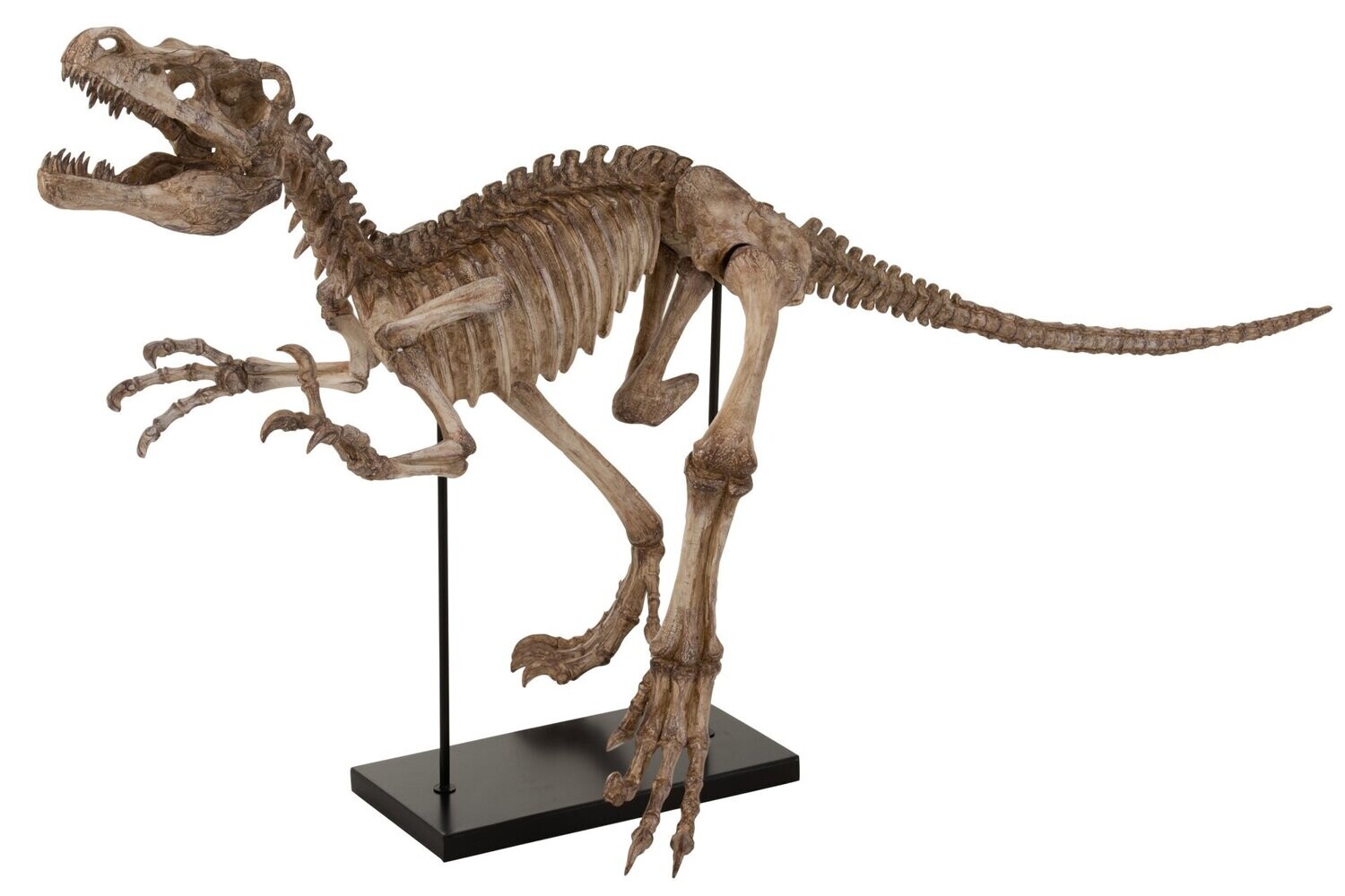 FIGURA RAPTOR ANTIQUE XL