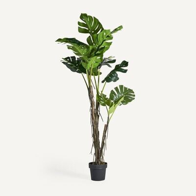 PLANTA ARTIFICIAL MONSTERA  180 cm