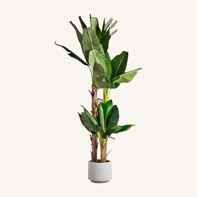 PLANTA ARTIFICIAL PLATANERO PREMIUM