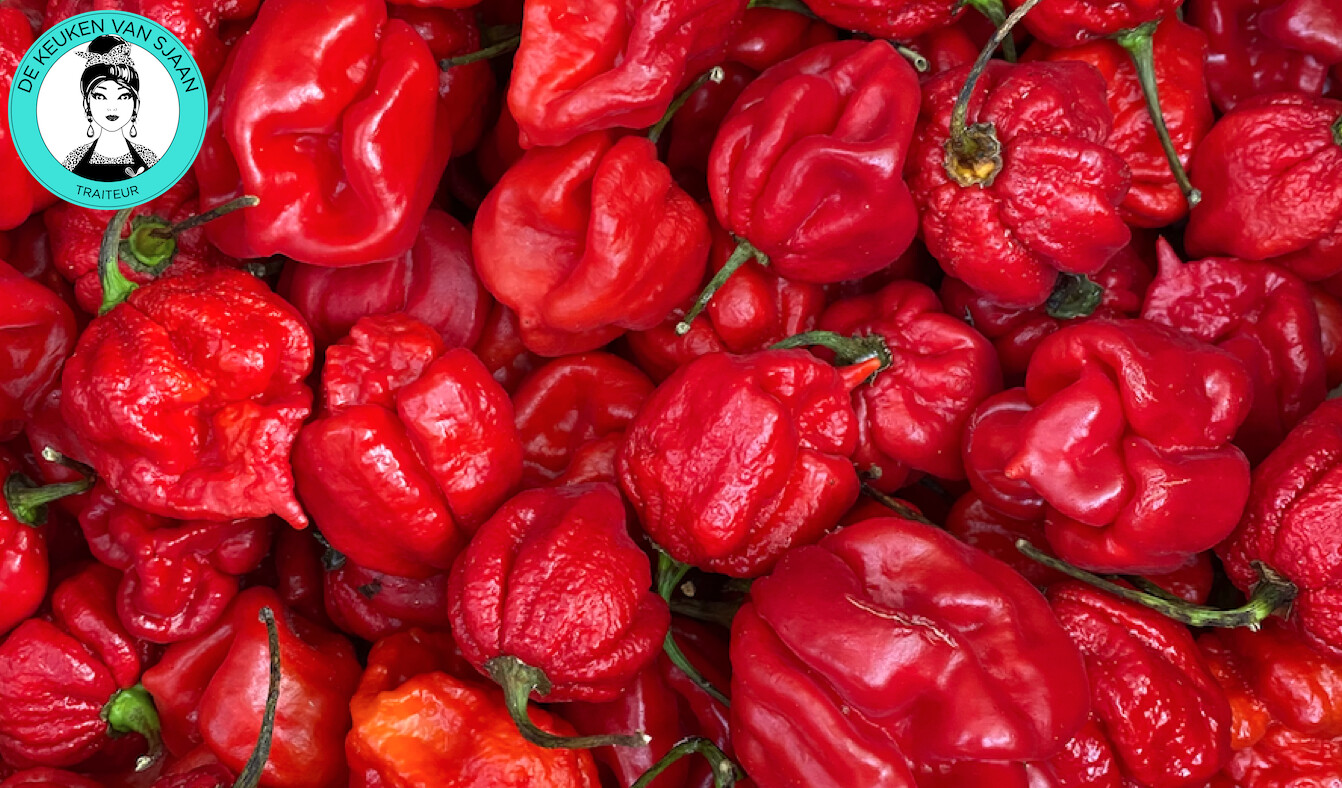 Spicy Sjaan (extreem heet)