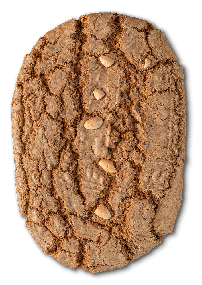 VONDELKOEK BOX GROOT