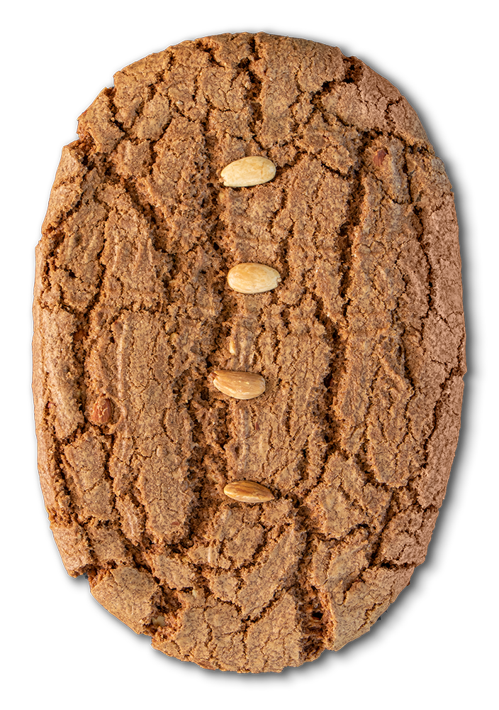 VONDELKOEK BOX WINTER