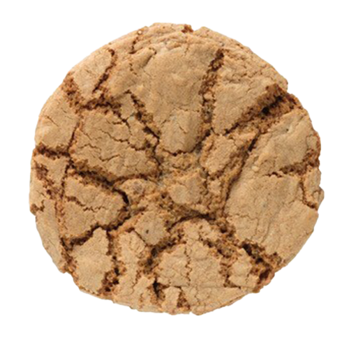 Trots op ons Almelo Vondelkoek