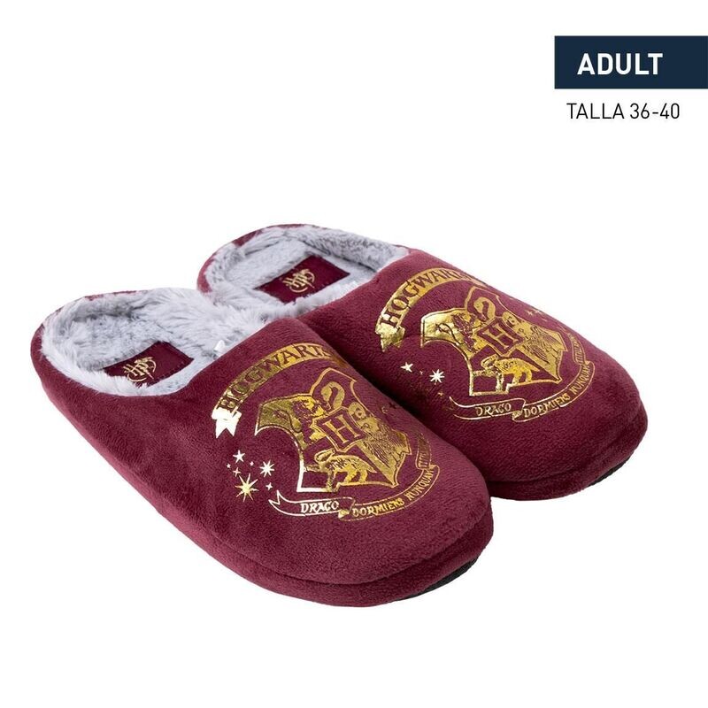 chausson harry potter femme